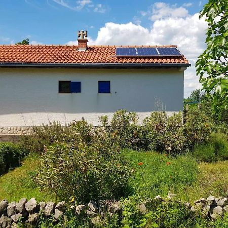Ecohouse Oliveglia Vila Šilo Exterior foto