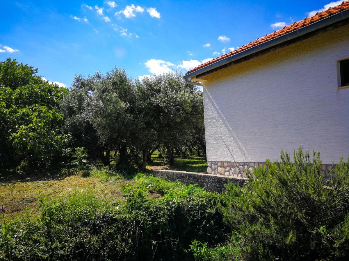 Ecohouse Oliveglia Vila Šilo Exterior foto